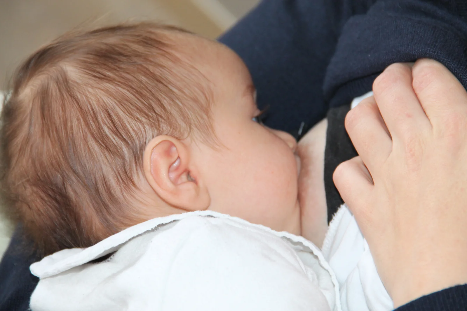 Allaitement maternel, bébé au sein