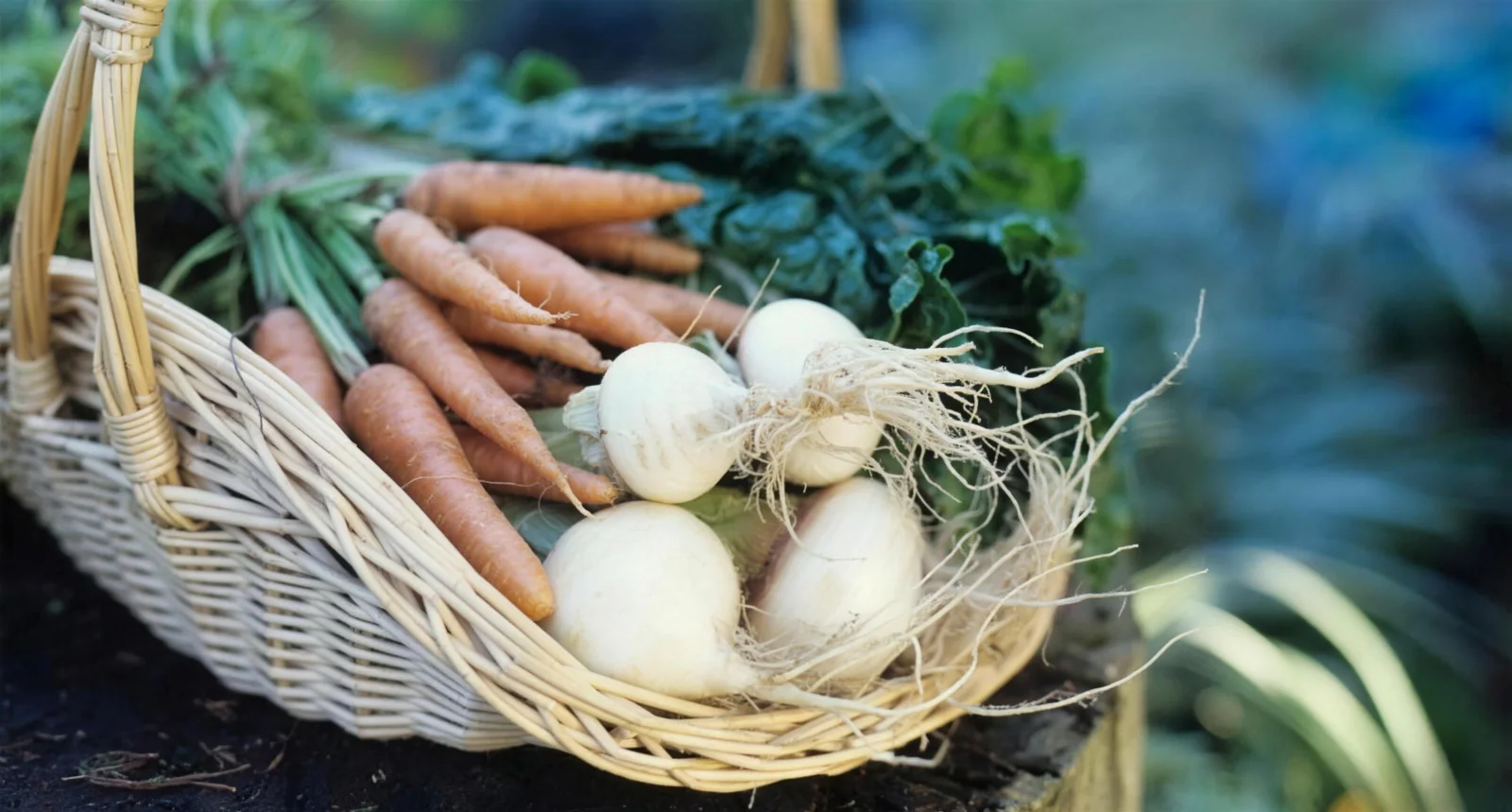 Un panier de légumes